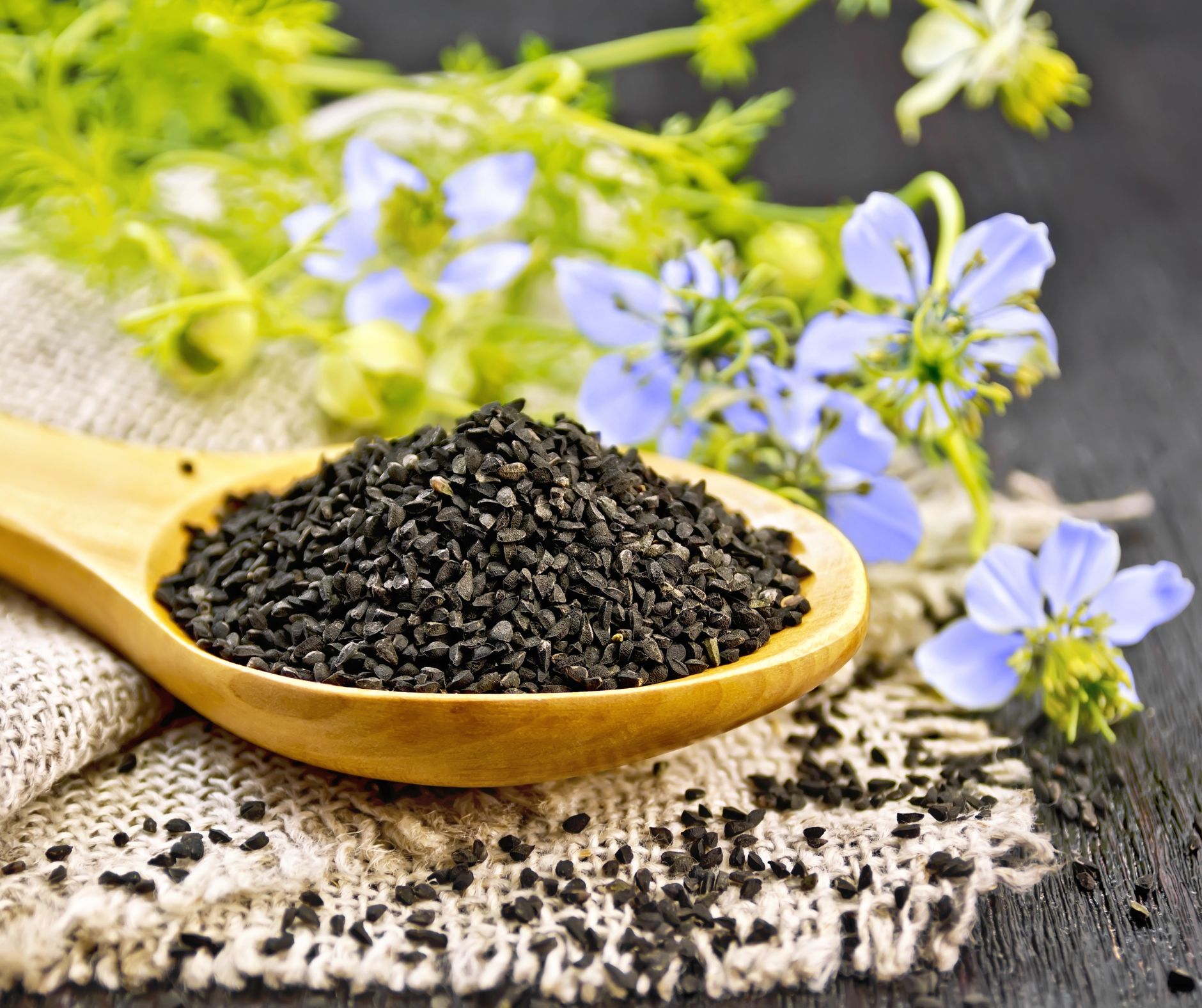 Ulje crnog kima i probava 2 Ulje crnog kima Ulje crnog kima kim & kumin