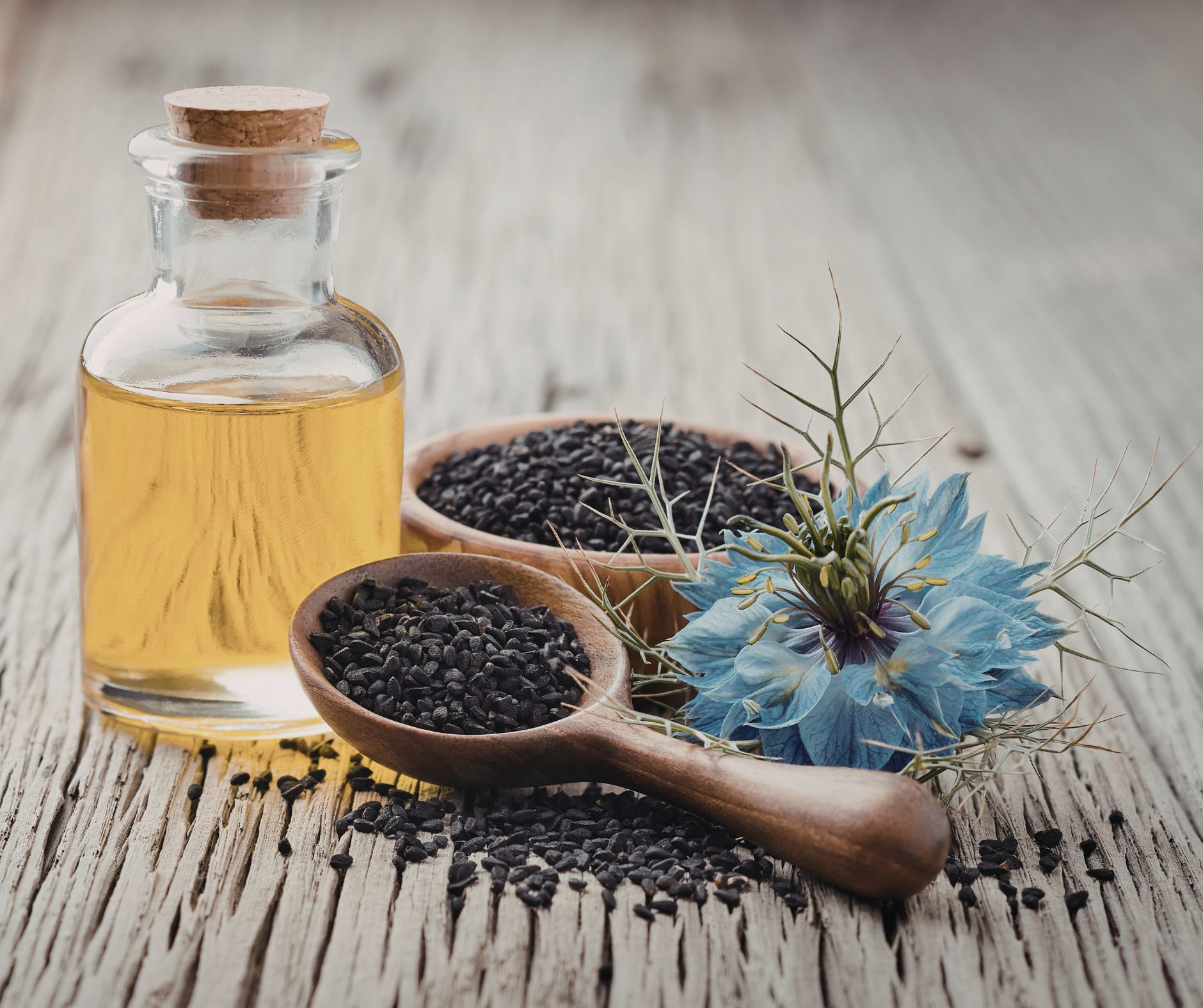 Ulje crnog kima u kulinarstvu 1 Ulje crnog kima dfhgdfh534643643tedrfgdfgfdgdsg Ulje crnog kima kim & kumin