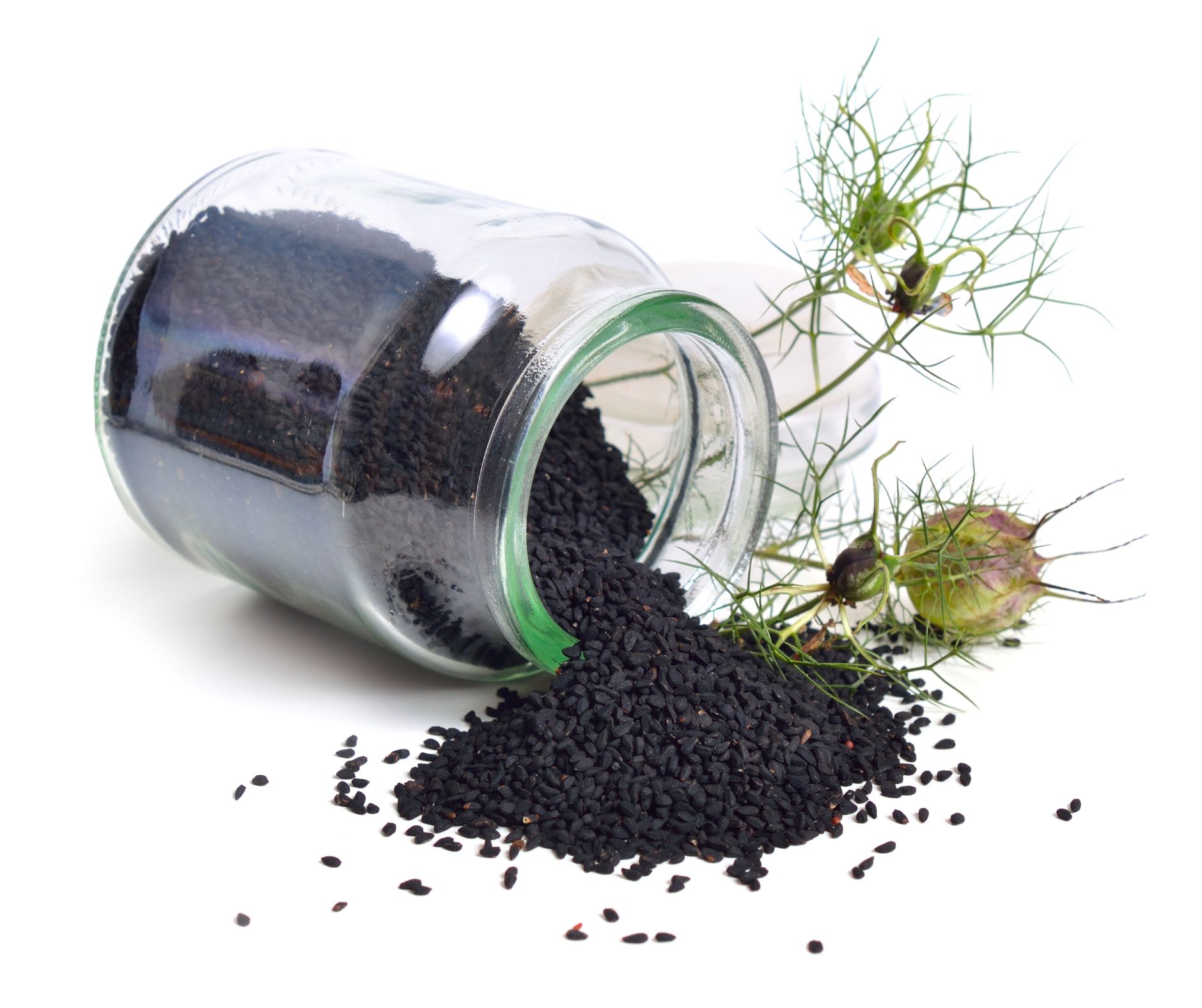 Ulje crnog kima i respiratorni sustav 1 Ulje crnog kima Ulje crnog kima kim & kumin